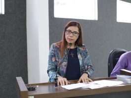 Elisa Gomes defende valorização do funcionalismo público, e cobra concessão de insalubridade