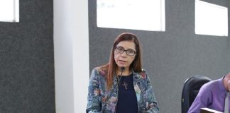 Elisa Gomes defende valorização do funcionalismo público, e cobra concessão de insalubridade
