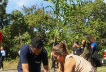 Semana do Meio Ambiente leva ações sustentáveis às ruas de VG