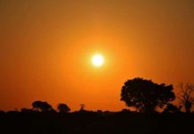 Mato Grosso entra em alerta com previsão de calor extremo; Alta Floresta entre os maiores riscos