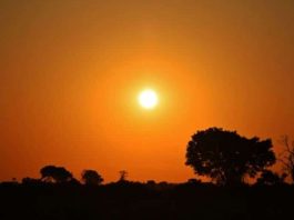 Mato Grosso entra em alerta com previsão de calor extremo; Alta Floresta entre os maiores riscos