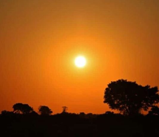 Mato Grosso entra em alerta com previsão de calor extremo; Alta Floresta entre os maiores riscos