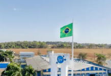 Anvisa manda recolher produtos da Ypê por risco de contaminação
