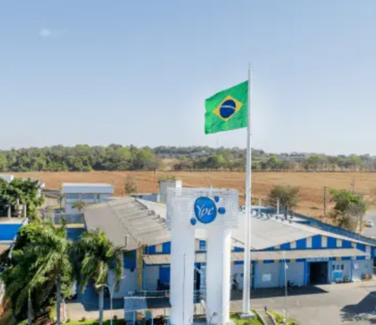 Polêmica sanitária vira meme político: apoiadores bebem detergente Ypê em ato de desafio