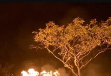 Incêndio em chácara urbana mobiliza polícia e termina com prisão em MT
