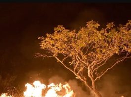 Incêndio em chácara urbana mobiliza polícia e termina com prisão em MT
