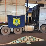 Caminhoneiro é preso na BR-070, em Barra do Garças (MT), por tráfico de droga