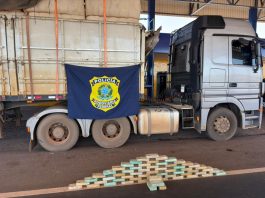 Caminhoneiro é preso na BR-070, em Barra do Garças (MT), por tráfico de droga