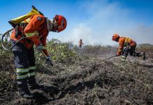 MT proíbe uso do fogo entre julho e novembro de 2026