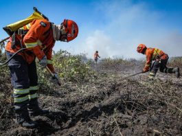 MT proíbe uso do fogo entre julho e novembro de 2026