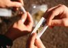 Alunos são flagrados com drogas em escola cívico-militar em Alta Floresta