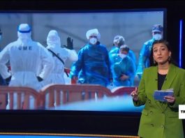 Surto de hantavírus em cruzeiro gera onda de fake news nas redes