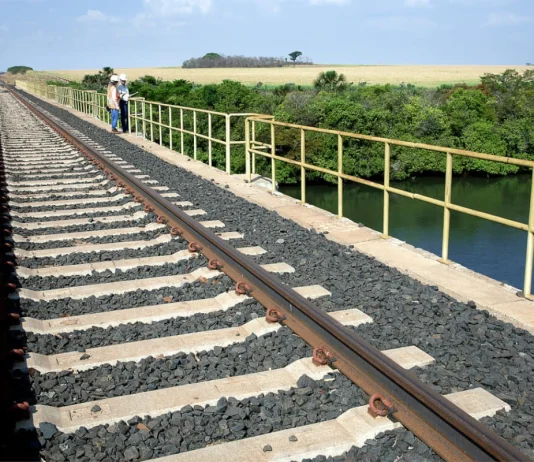 STF valida redução de área protegida para avanço da Ferrogrão