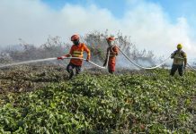 Bombeiros abrem 150 vagas para brigadistas em 29 municípios de MT