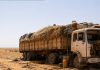 Tragédia no Saara deixa 49 mortos após caminhão quebrar no deserto