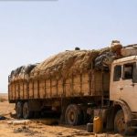 Tragédia no Saara deixa 49 mortos após caminhão quebrar no deserto