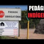 Entenda por que indígenas cobram taxa na MT-235 em Mato Grosso