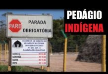 Entenda por que indígenas cobram taxa na MT-235 em Mato Grosso