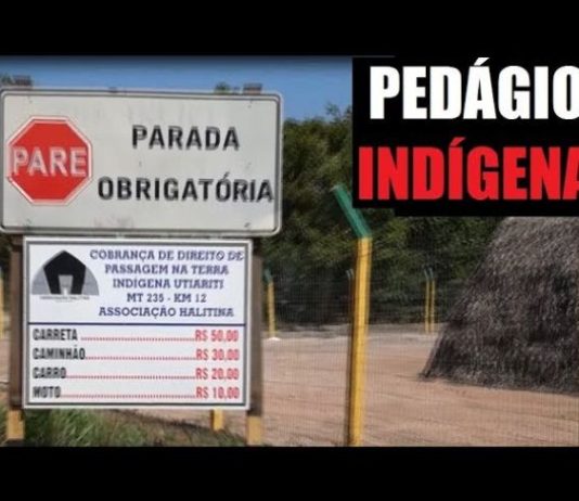 Entenda por que indígenas cobram taxa na MT-235 em Mato Grosso
