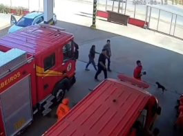 Criança é reanimada após ser arremessada de moto em Sinop