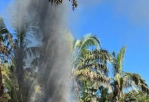 Força-tarefa destrói acampamentos em área invadida de Mato Grosso