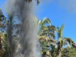 Força-tarefa destrói acampamentos em área invadida de Mato Grosso