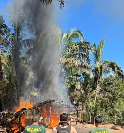 Força-tarefa destrói acampamentos em área invadida de Mato Grosso