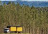 Mato Grosso ajusta regras e endurece uso de biomassa de origem nativa