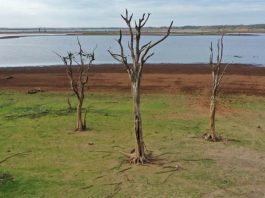 Água subterrânea em alerta expõe desafio silencioso do Brasil