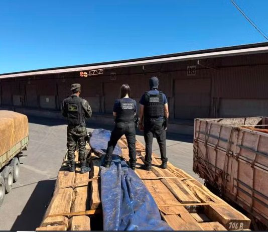 Operação encontra cocaína em madeira e bate recorde no país