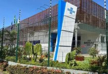 Sebrae promove capacitação gratuita sobre mercado internacional em Sinop