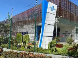 Sebrae promove capacitação gratuita sobre mercado internacional em Sinop