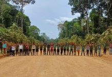 STF suspende ampliação da Terra Indígena Manoki em Mato Grosso