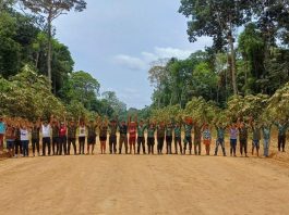 STF suspende ampliação da Terra Indígena Manoki em Mato Grosso