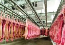 Carne suína ganha espaço como opção saudável na merenda escolar