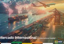 Sinop reforça posição e se consolida como 2ª maior exportadora de MT