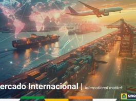 Sinop reforça posição e se consolida como 2ª maior exportadora de MT