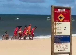 Menino de 11 anos é atacado por tubarão em praia de Pernambuco