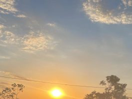 Incêndio em terreno urbano mobiliza bombeiros no bairro Cidade Bela