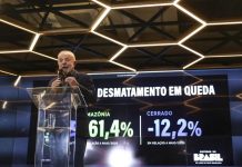 Desmatamento na Amazônia cai 60% e Lula rebate críticas dos EUA