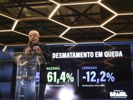 Desmatamento na Amazônia cai 60% e Lula rebate críticas dos EUA