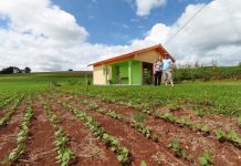 Quase 2 mil moradias rurais reforçam habitação em Mato Grosso