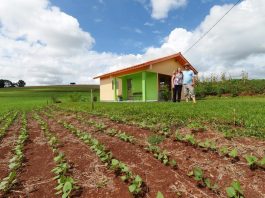 Quase 2 mil moradias rurais reforçam habitação em Mato Grosso