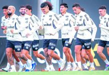 Santos retoma atividades e inicia preparação para sequência da temporada
