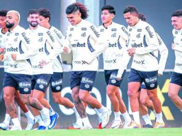 Santos retoma atividades e inicia preparação para sequência da temporada