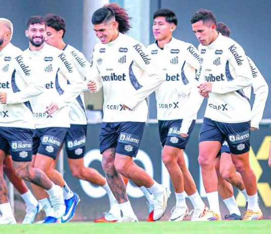Santos retoma atividades e inicia preparação para sequência da temporada