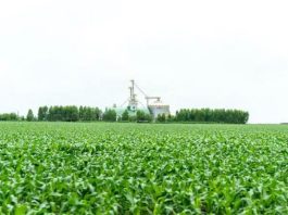 Falta de armazenagem no agro gera prejuízo bilionário ao produtor