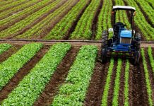 Crédito rural empresarial atinge R$ 404 bilhões no Plano Safra 2025/2026