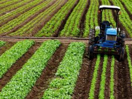 Crédito rural empresarial atinge R$ 404 bilhões no Plano Safra 2025/2026