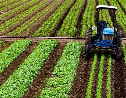 Crédito rural empresarial atinge R$ 404 bilhões no Plano Safra 2025/2026